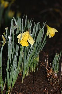 Spring has come to Bits & Bytes Farm.