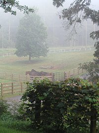 The pastures at Bits & Bytes Farm.