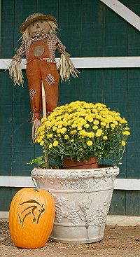 Fall comes to Bits & Bytes Farm