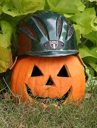 Welcome to Bits & Bytes Farm - the home of many beautiful Thoroughbred horses for sale.