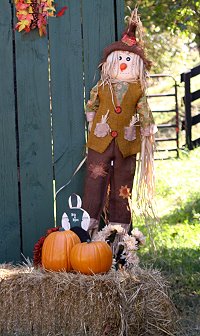 Photo credits/copyrights Chris Laurenceau.