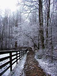 x-counrty trails and jumps in the woods