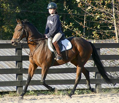 Ace's Angel and Shelby