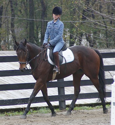 Ace's Angel and Shelby