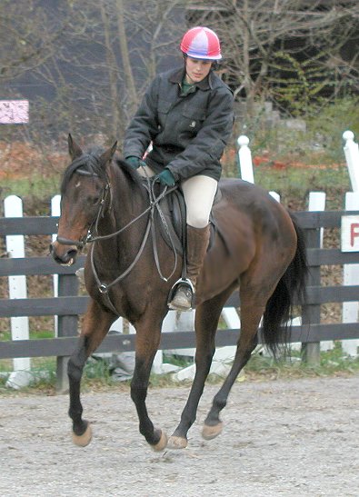 Ace's Angel - horses for sale at Bits & Bytes Farm