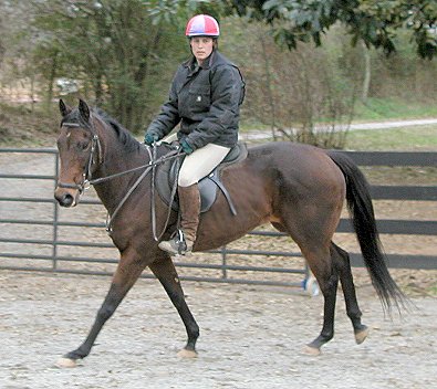 Ace's Angel - horses for sale at Bits & Bytes Farm