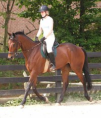 Ace's Angel and Paula in the spring