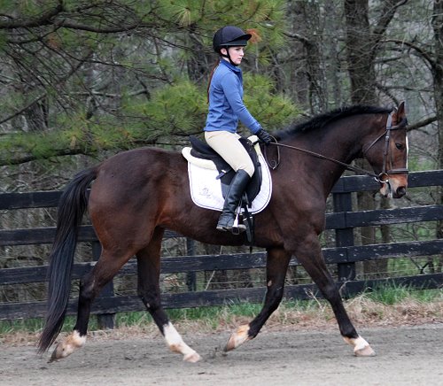 Aly's Alph Boy and his new mom Laura Thompson.