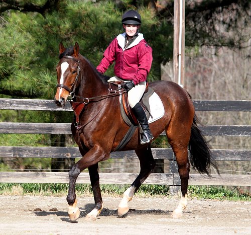 Aly's Alph Boy and his new mom Laura Thompson.