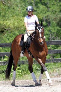 Aly's Alpha Boy has been SOLD!