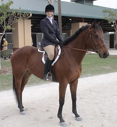Austin's Wolf is an OTTB who competes in dressage, hunters and jumpers and wins at all of them!