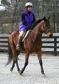 Austins Wolf and Laurie - January 15, 2006