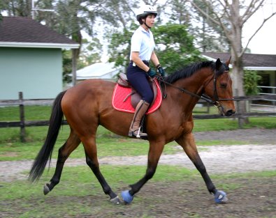 Austins Wolf at home in Davie Florida with mom Laurie Flebotte.