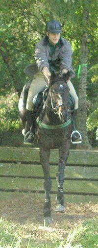 Gertjan and Big Money