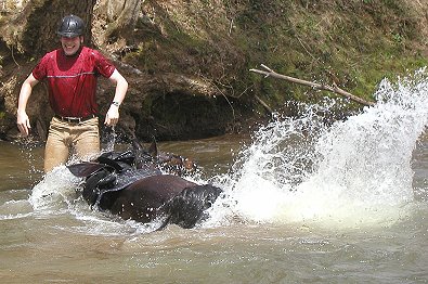 Big Money really took the plunge.