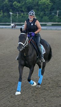 Blue Electra - big dressage movement and presence.