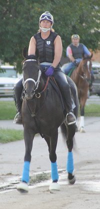 Blue Electra - Thoroughbred horse for sale