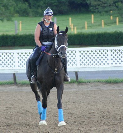 Blue Electra - Thoroughbred sport horse prospect