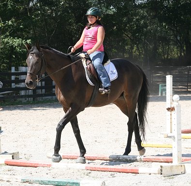 OTTB - Bounced and ten year-old Bree walk though the poles on the ground. August 10, 2008
