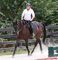 OTTB - Bounced with visitor Susan Dye. July 19, 2009 