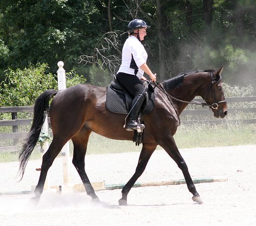 OTTB - Bounced with visitor Susan Dye. July 19, 2009 