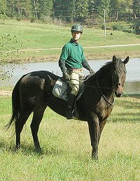 Brew This (Brewster) and Barry