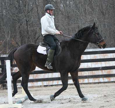A beginner may use his hands to balance against the horse's mouth because his seat in not secure. 