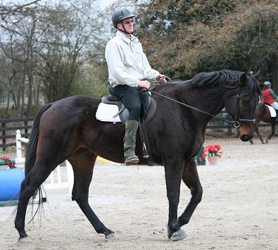 An example of good contact with the horse's mouth.