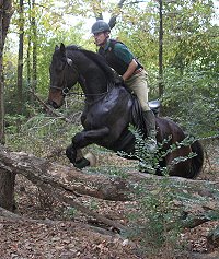 Brew This and Barry enjoyed jumping both the stadium fences and the cross country fences.