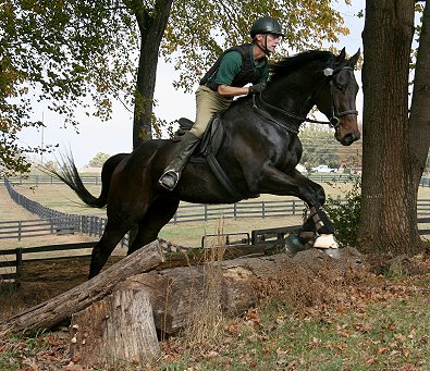 Brew This aka "Brewster" with dad Barry schooling cross country at Oxer Farm.