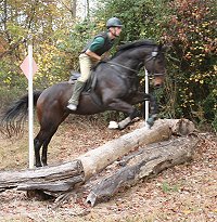 Brew This and Barry jumping logs.