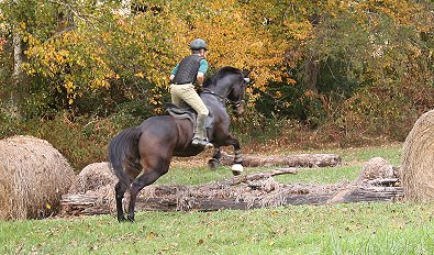 Brew This and Barry Zuber schooling at Oxer Farm. November 6, 2005