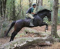 Brew This and Barry scooling over cross country fences.