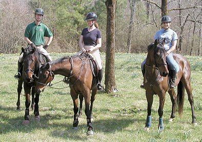 ex race horses enjoy trail riding to prepare for fox hunting and eventing.