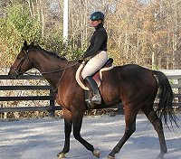 Buckeye Buckaroo is very smooth to ride. Novmeber 12, 2005
