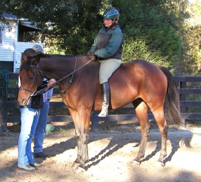 Buckeye Buckaroo is an OTTB for sale at Bits & Bytes Farm. - September 8, 2005 