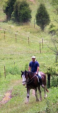 Garrett's Dreamer and Stephen at Storytails Farm in east Tennessee.