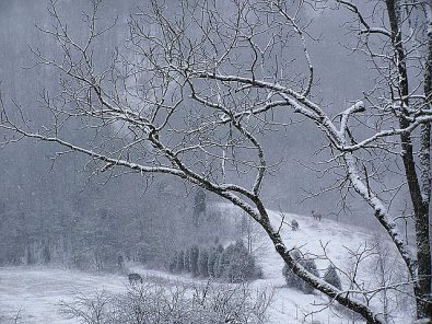 Winter at Storytails Farm.