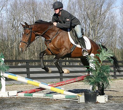 Elisa Wallace and Bullet Again - ride two!
