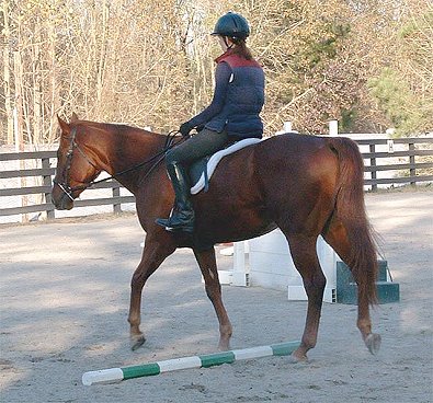 Sir Cahill & Baileysontherocks