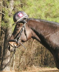 Captain Arias ready for cross country
