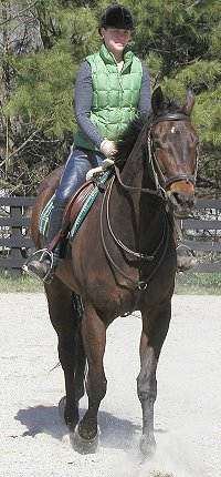 Thoroughbred horses for sale