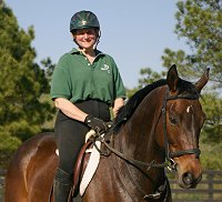 Thoroughbred Horses for Sale