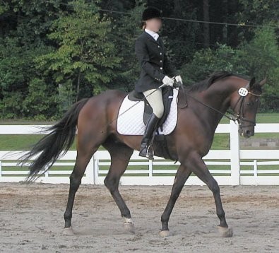 Bits & Bytes Farm's Captain Arias