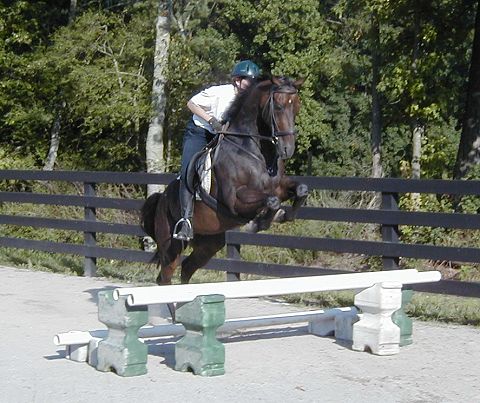 Elizabeth teaching Captain to jump.