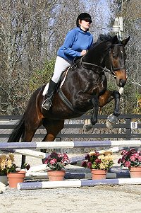  Era of Chanago with "Friend of Bits & Bytes Farm" Niki. November 25, 2005