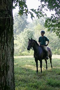 Bits & Bytes Farm Thoroughbreds