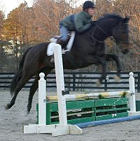 Era of Chanago - a Thoroughbred horse for sale at Bits & Bytes Farm