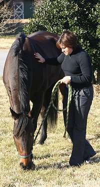 Era of Chanago walked off the trailer and started eating the grass. 