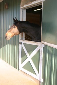 Era of Chanago checks out his new farm.